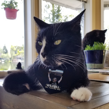 Load image into Gallery viewer, WILD BILL Pet Bandana Collar - SMALL DOG or CAT